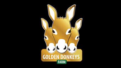 Golden Donkeys Farm Logo